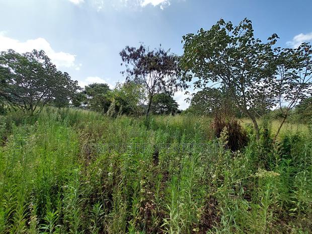 Old Runda 1/2 Plot For Sale