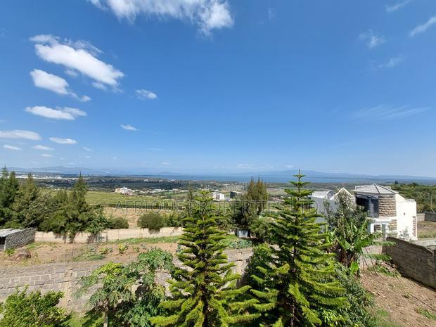 4bdrm Mansion in Naivasha for sale