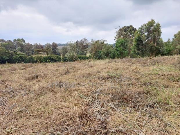 Ngong Kibiko Resident Plot 50*100 for Sale