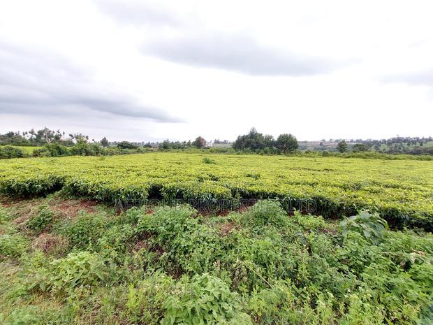 Tigoni 1/2 Residential Plot for Sale In