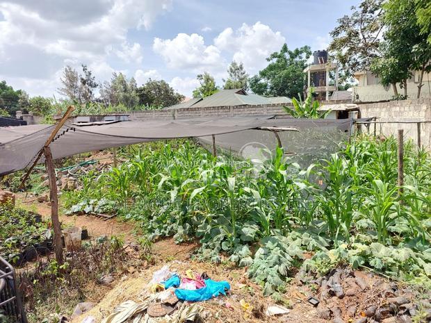 Membly Estate Prime 1/4 Acre Plot With Perimeter Wall 4 Sale