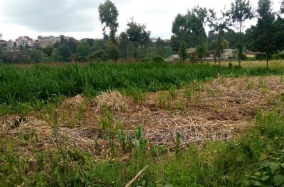 4 Acres in Kikuyu for Sale