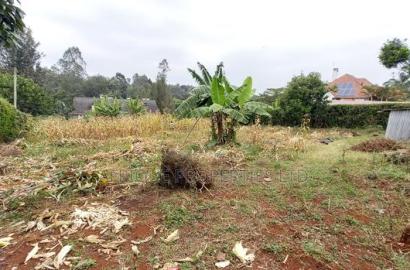 Kiambu Muthithi Garden Plot for Sale