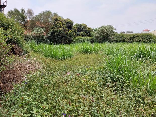 Kiambu Road 1\2 Acre Plot for Sale Opposite Kist