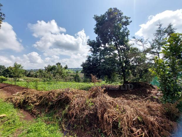 Tigoni 1/2 Residential Plot for Sale In