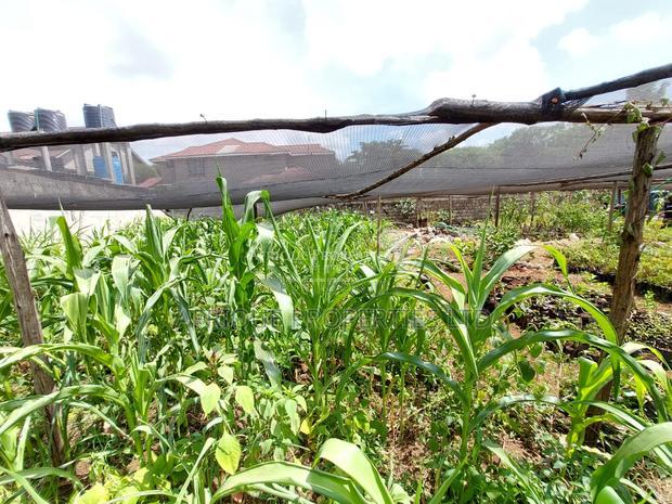 Membly Estate Prime 1/4 Acre Plot With Perimeter Wall 4 Sale