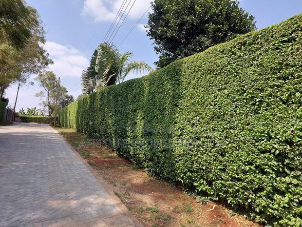 Kiambu Road 1/2 Acre Residential Plots for Sale