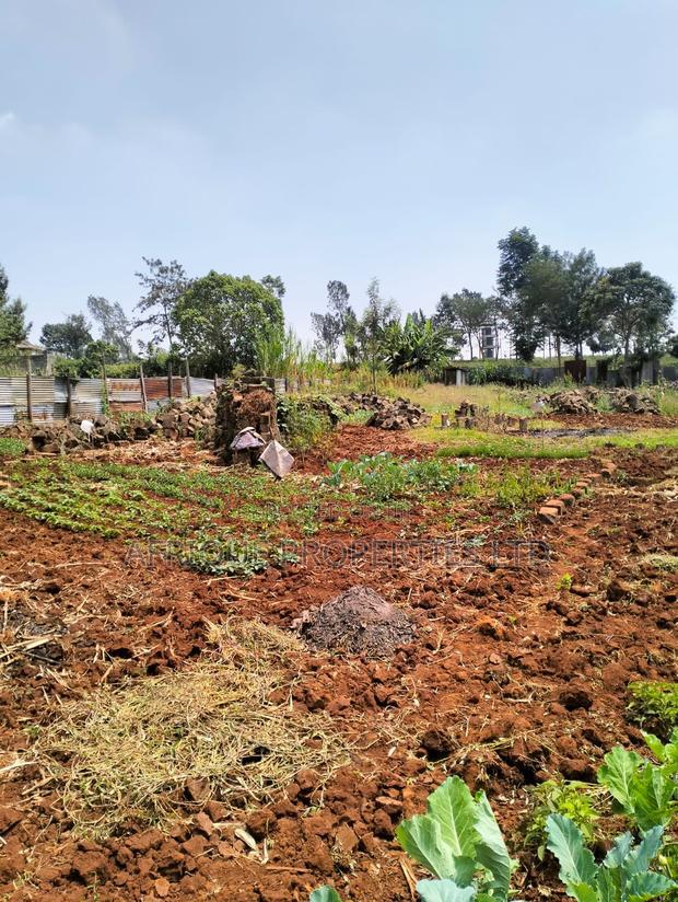 Runda: 1/2 Acre Plot For Sale