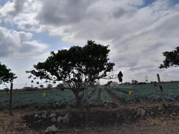 Affordable Isinya 50x100 Plots Ready Titles