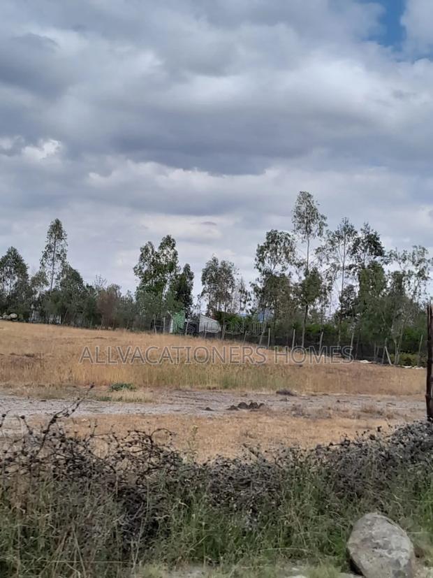 Affordable Isinya 50x100 Plots Ready Titles