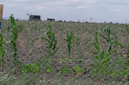 Affordable Isinya 50x100 Plots Ready Titles