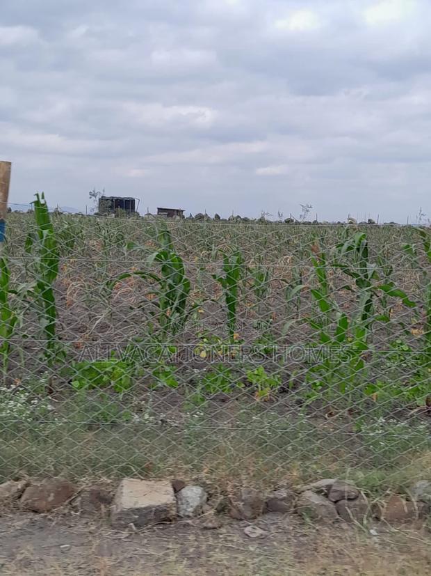 Affordable Isinya 50x100 Plots Ready Titles