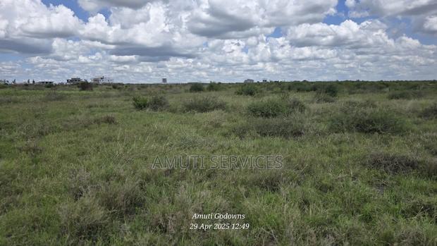 41 Acres for Sale