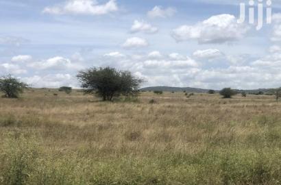 32acres Kinanie