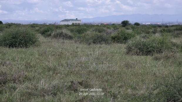 41 Acres for Sale