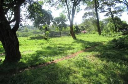 Karen: 0.5 Acre for Sale