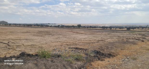 Daystar: 10 Acres for Sale