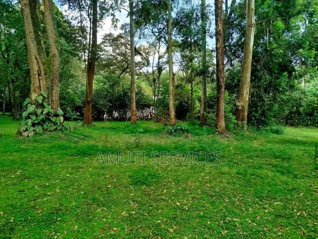 Karen: One Acre for Sale
