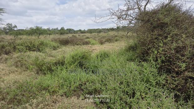 Chumvi: 10 Acres For Sale