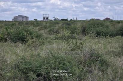 41 Acres for Sale