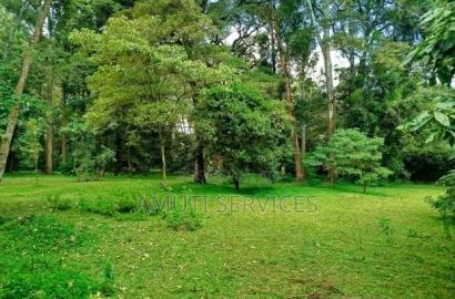 Karen: One Acre for Sale