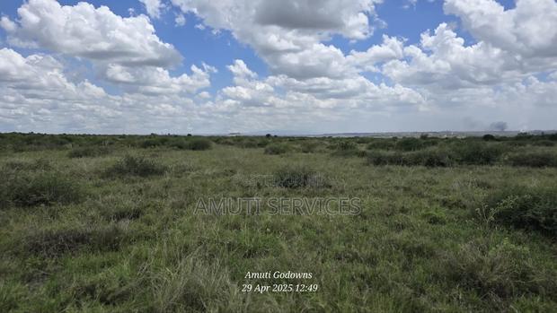 41 Acres for Sale
