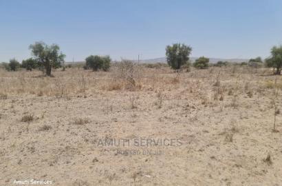 Maanzoni: 3 Acres for Petrol Station
