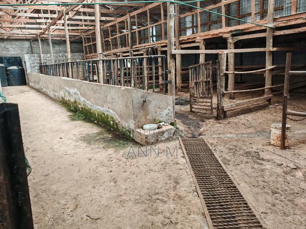 6 Acre Farm in Kinangop