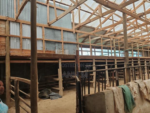 6 Acre Farm in Kinangop