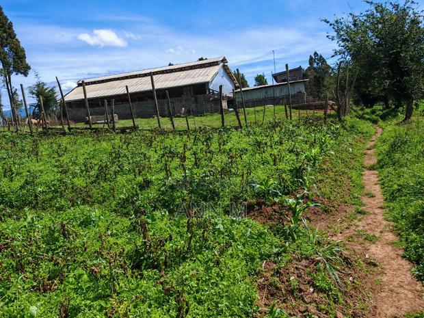 6 Acre Farm in Kinangop