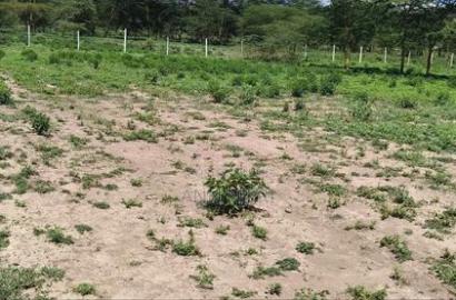 Nakuru Prime Plots