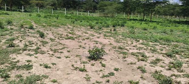 Nakuru Prime Plots