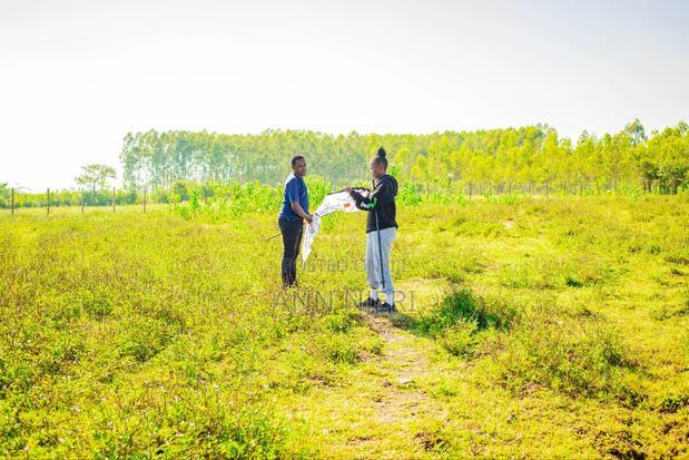 Kisumu Prime Plots