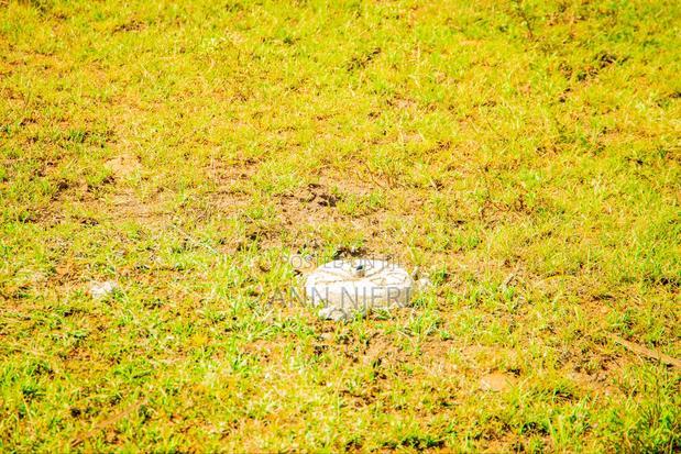 Kisumu Prime Plots