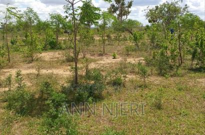Malindi Prime Plots