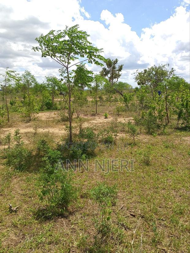 Malindi Prime Plots