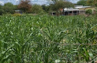 Residential Plots In Machakos