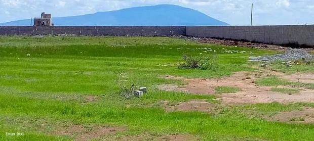 Plots for Sale in Kiambu County (1/8 1 /4 Acre)