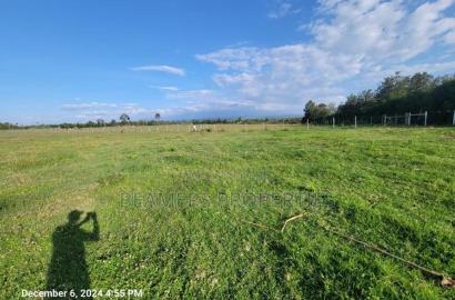 Nanyuki 50by100 Plots for Sale