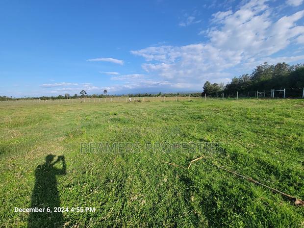 Nanyuki 50by100 Plots for Sale