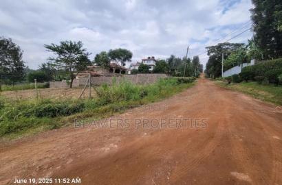 Thome 1/2 Acre for Sale in Thome