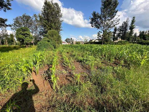 1/2 Acre for Sale in Kenol