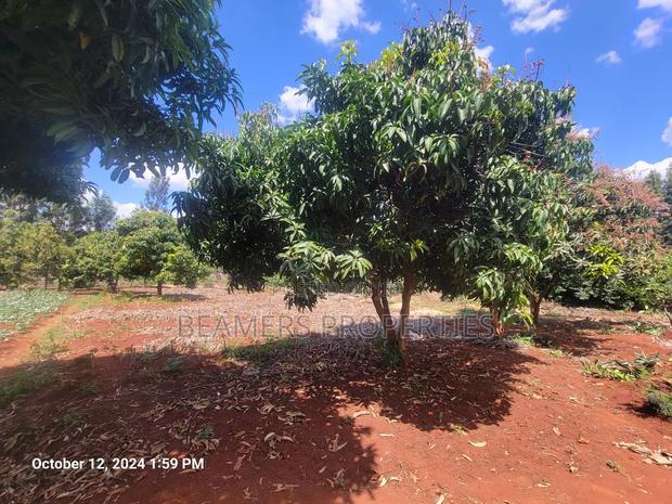 Ruiru 50by100ft Plot for Sale