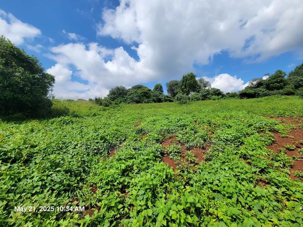 Migaa Golf 50by100ft Plot for Sale