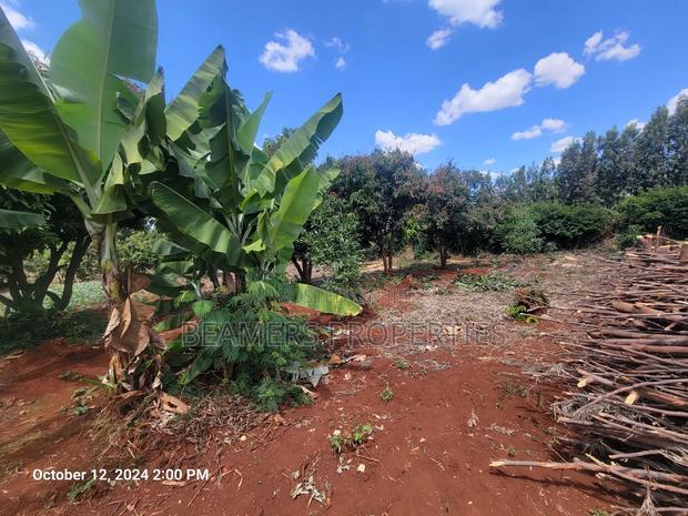 Ruiru 50by100ft Plot for Sale