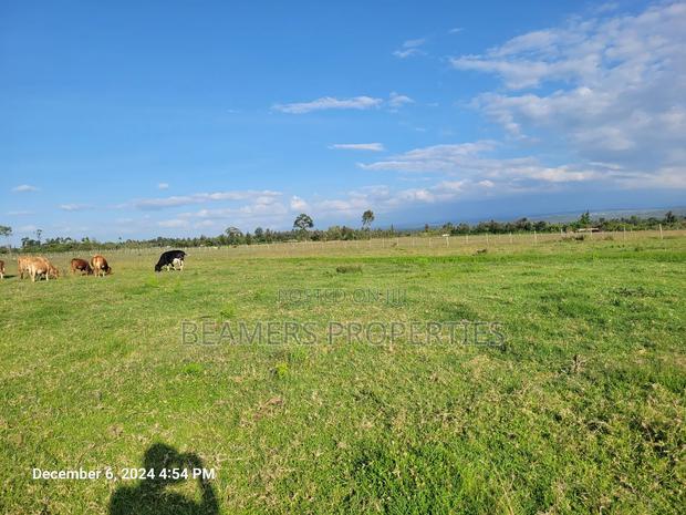 Nanyuki 50by100 Plots for Sale