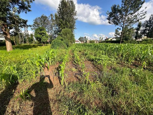 1/2 Acre for Sale in Kenol