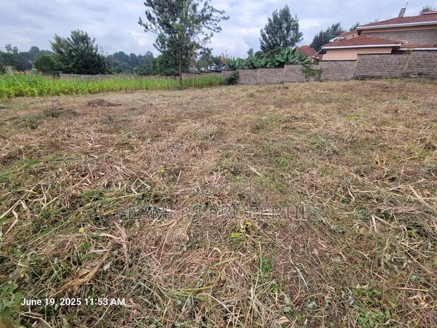 Thome 1/2 Acre for Sale in Thome