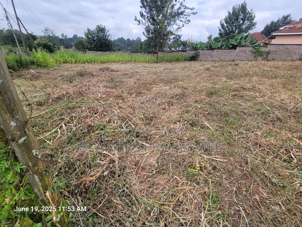 Thome 1/2 Acre for Sale in Thome