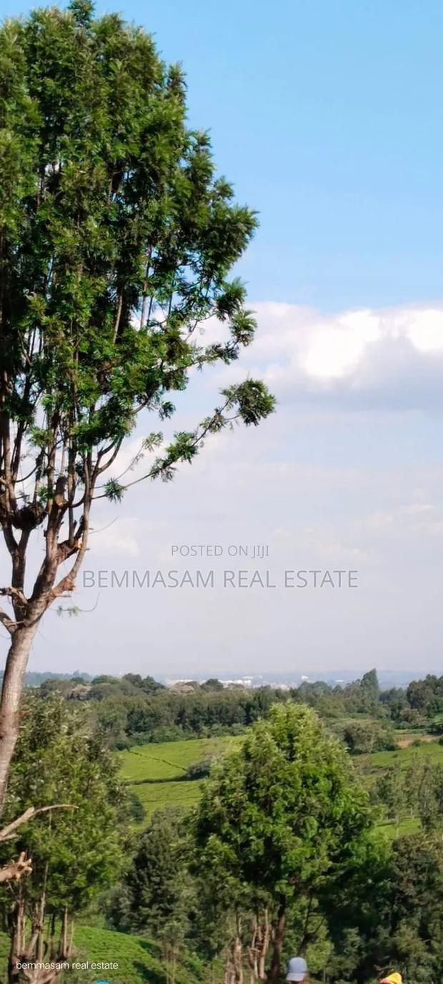 Two Acres for Sale in Tigoni